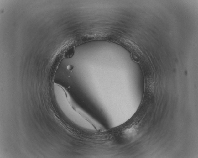 X0000076430735200610271733