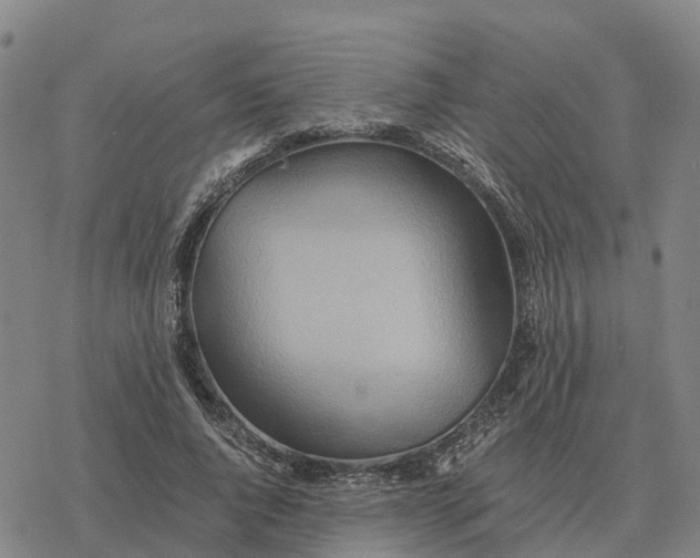 X0000076430736200610271733