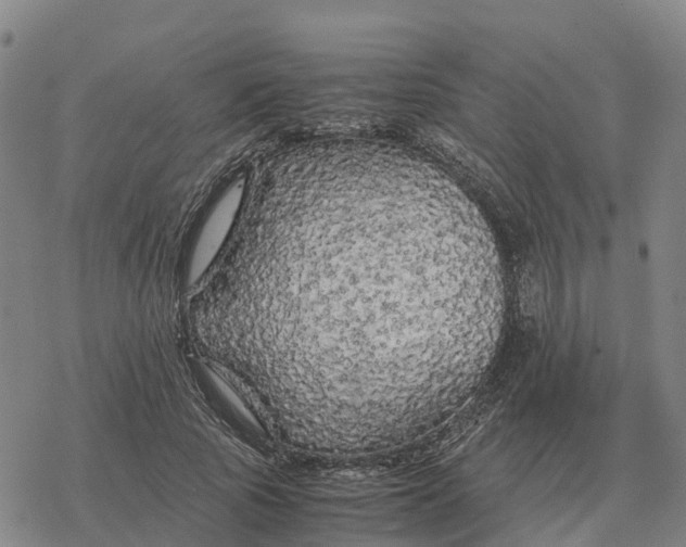 X0000076430737200610271733