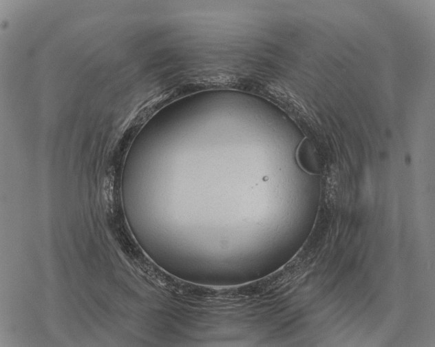 X0000076430739200610271733