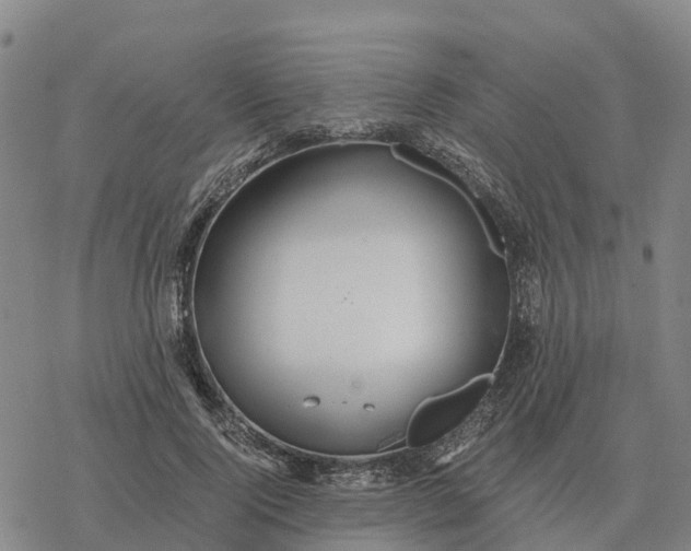 X0000076430740200610271733