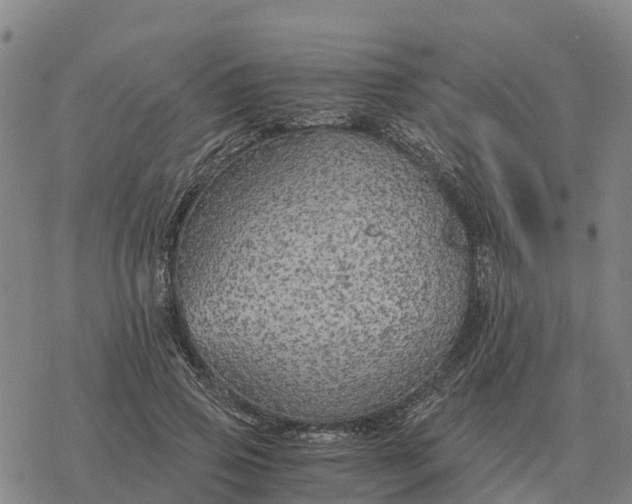 X0000076430741200610271733