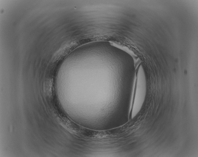 X0000076430742200610271733