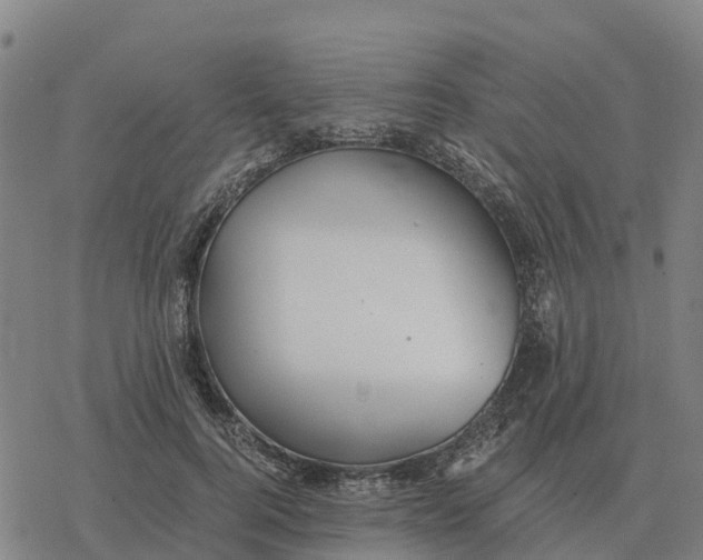 X0000076430744200610271733