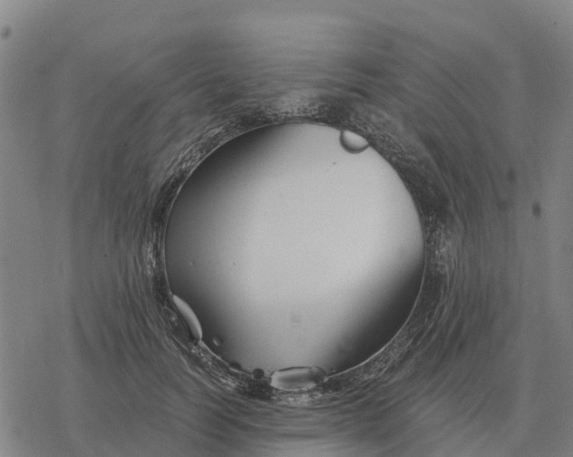 X0000076430746200610271733