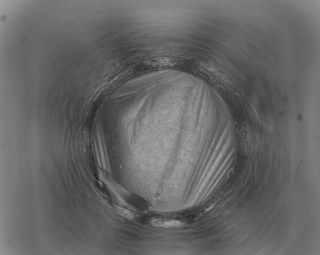 X0000076430747200610271733