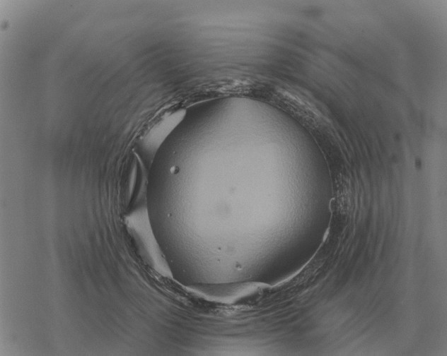 X0000076430748200610271733