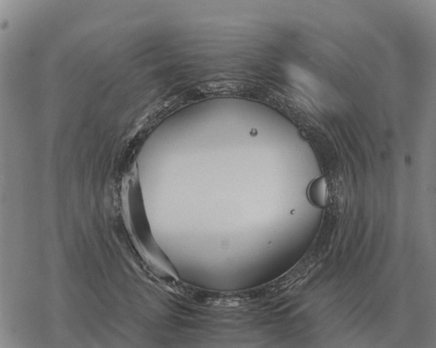 X0000076430751200610271733