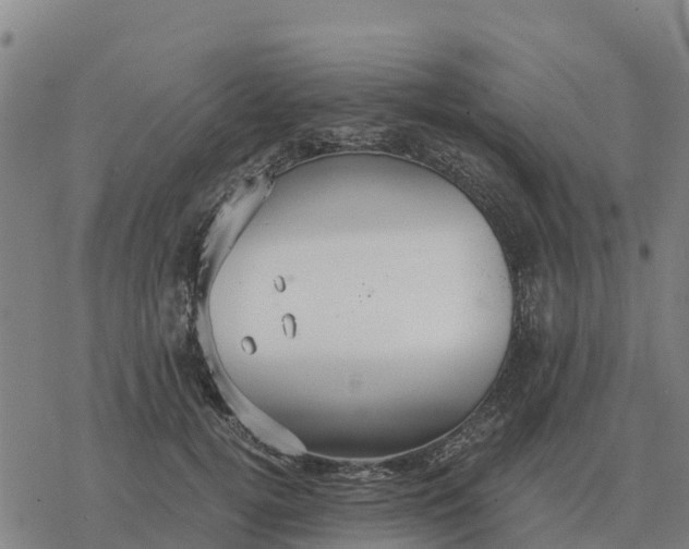 X0000076430752200610271733