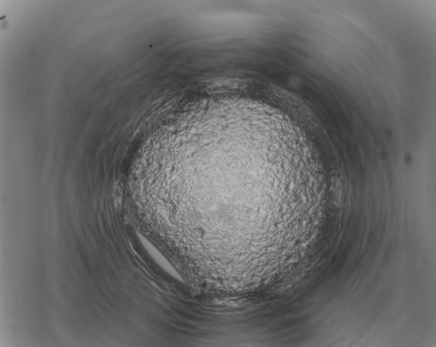 X0000076430753200610271733