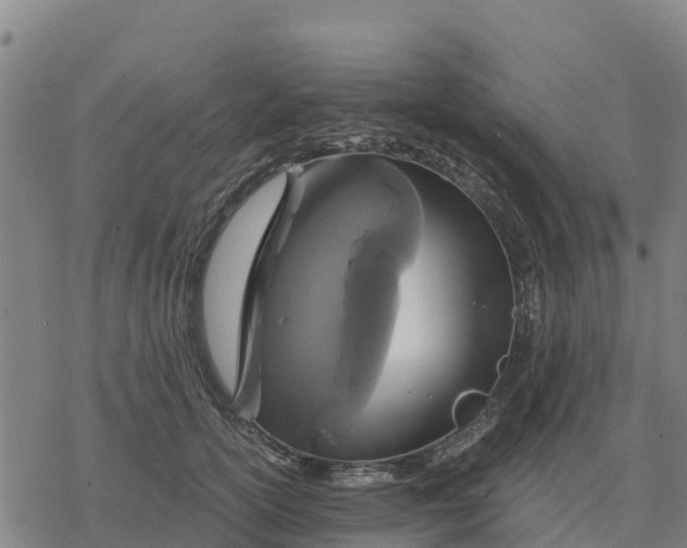 X0000076430754200610271733