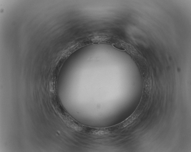 X0000076430755200610271733