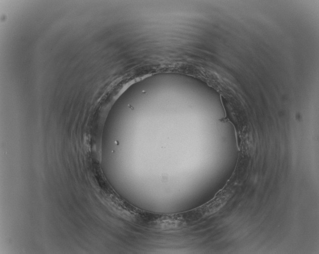 X0000076430756200610271733