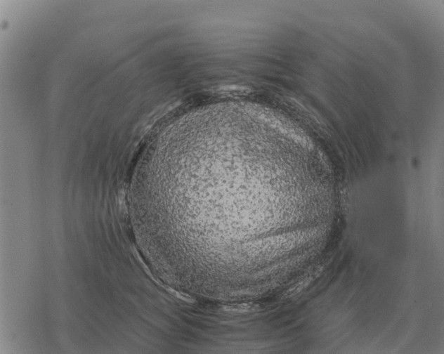 X0000076430757200610271733