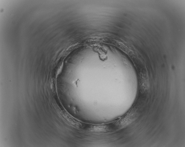 X0000076430758200610271733