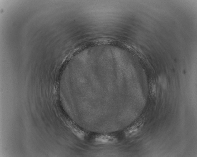 X0000076430759200610271733