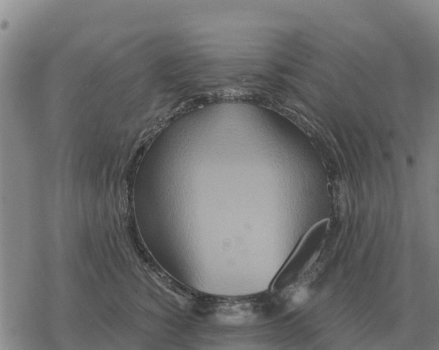 X0000076430760200610271733