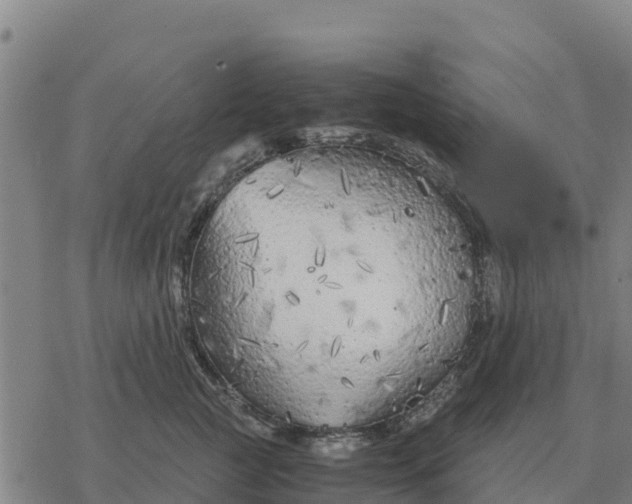 X0000076430761200610271733