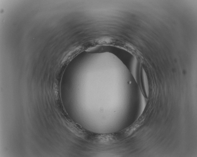 X0000076430762200610271733