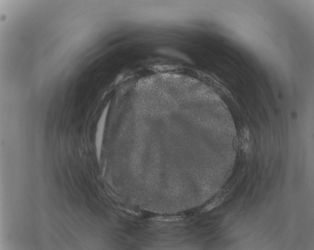 X0000076430763200610271733