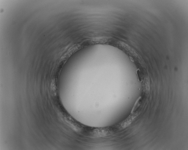 X0000076430764200610271733