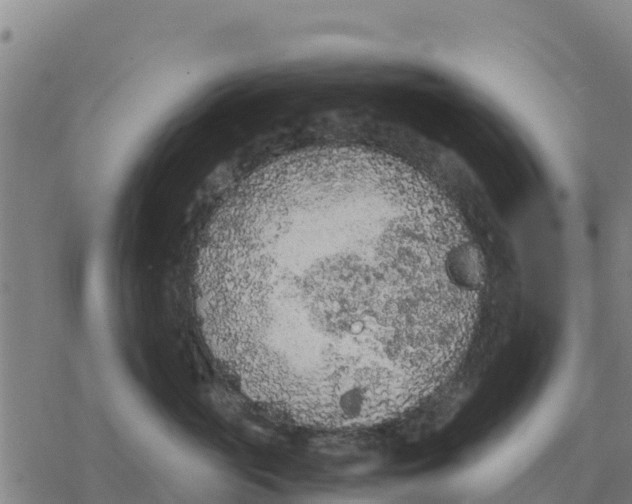 X0000076430765200610271733