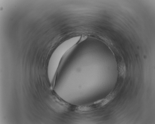 X0000076430766200610271733