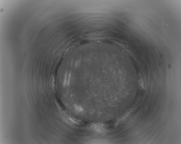 X0000076430767200610271733