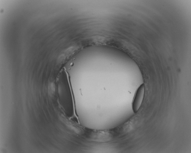 X0000076430768200610271733