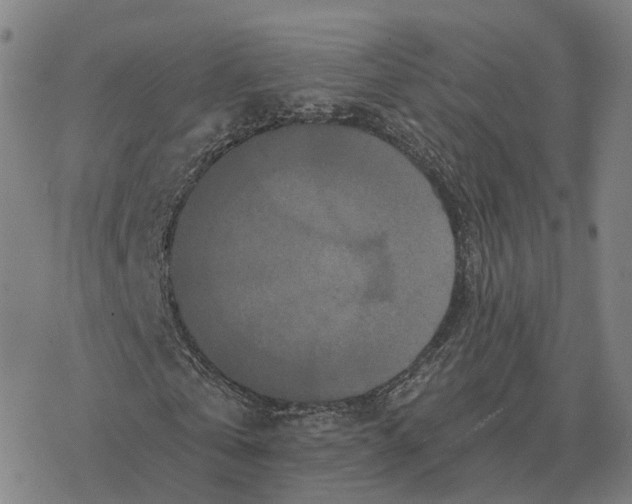 X0000076430769200610271732