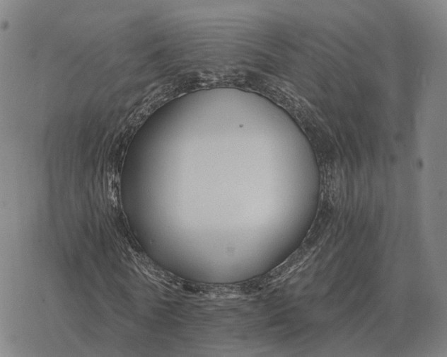 X0000076430770200610271732