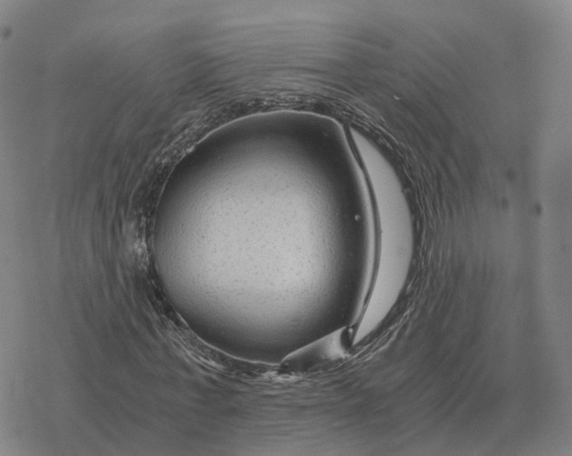 X0000076430771200610271732