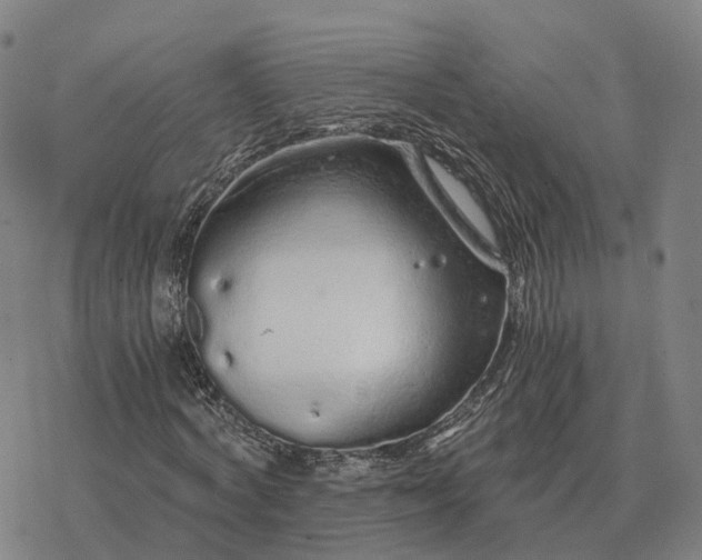 X0000076430772200610271732