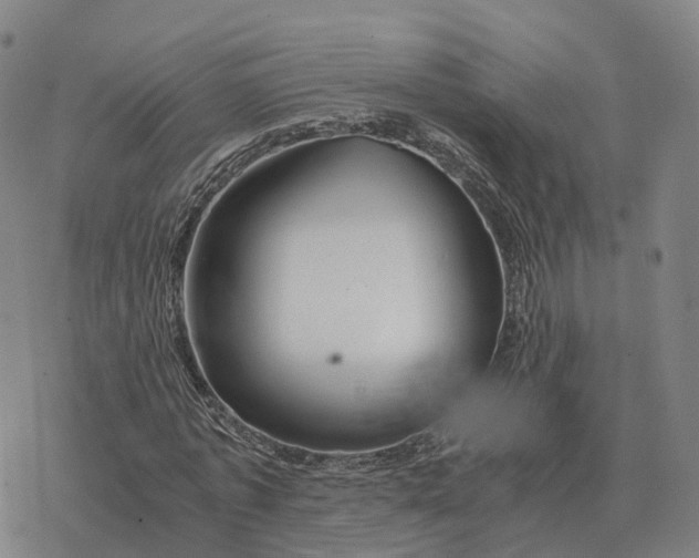 X0000076430773200610271732