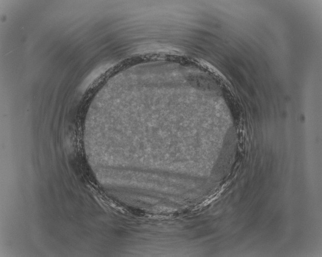 X0000076430775200610271732