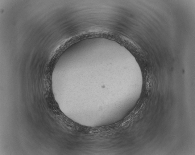 X0000076430776200610271732