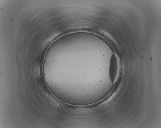 X0000076430777200610271732