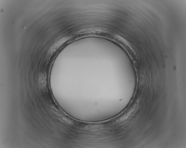 X0000076430778200610271732