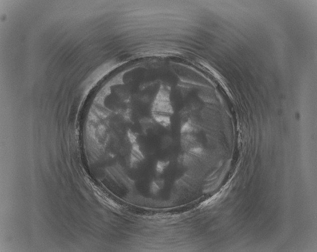 X0000076430779200610271732