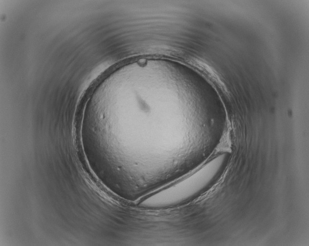 X0000076430780200610271732