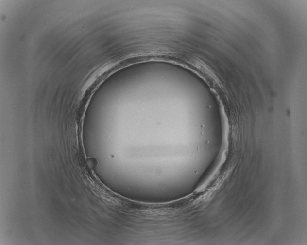 X0000076430781200610271732