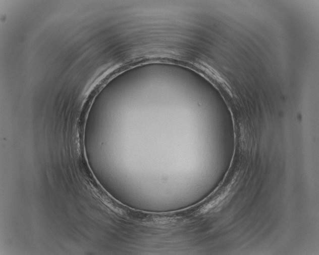 X0000076430782200610271732