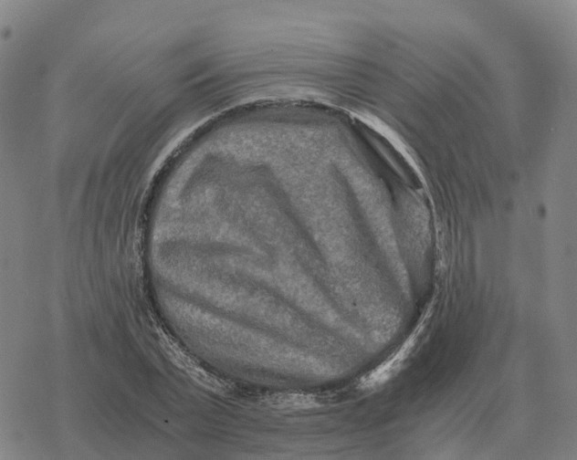 X0000076430783200610271732