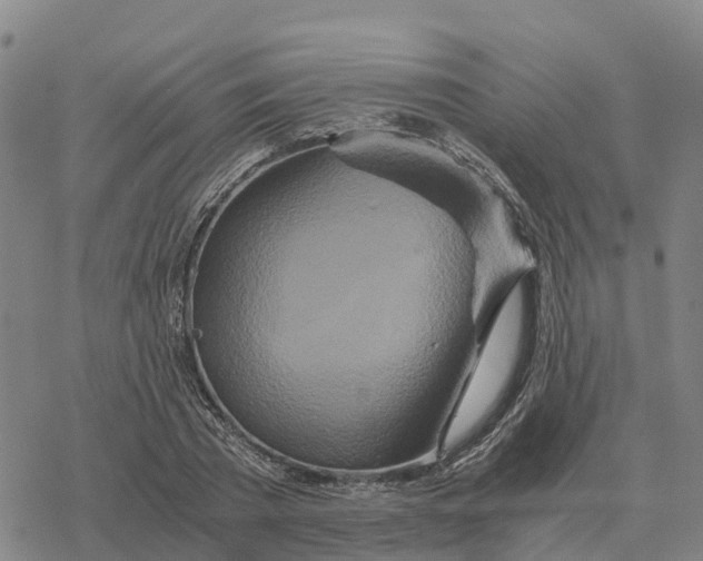 X0000076430785200610271732