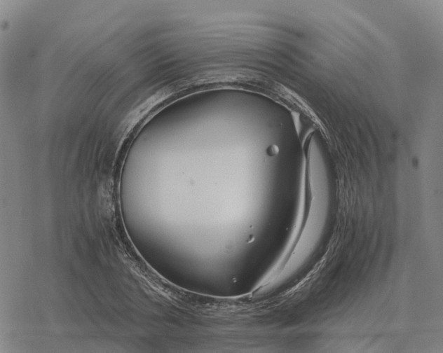 X0000076430786200610271732