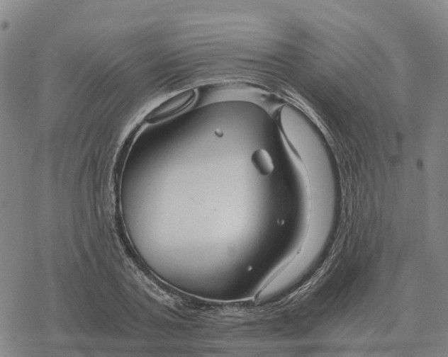 X0000076430787200610271732