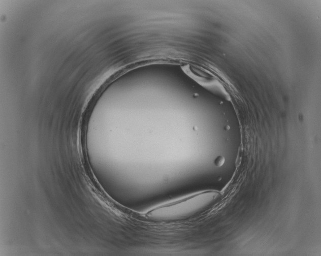 X0000076430788200610271732