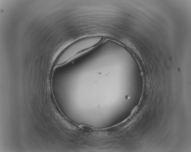 X0000076430789200610271732