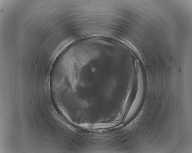 X0000076430790200610271732