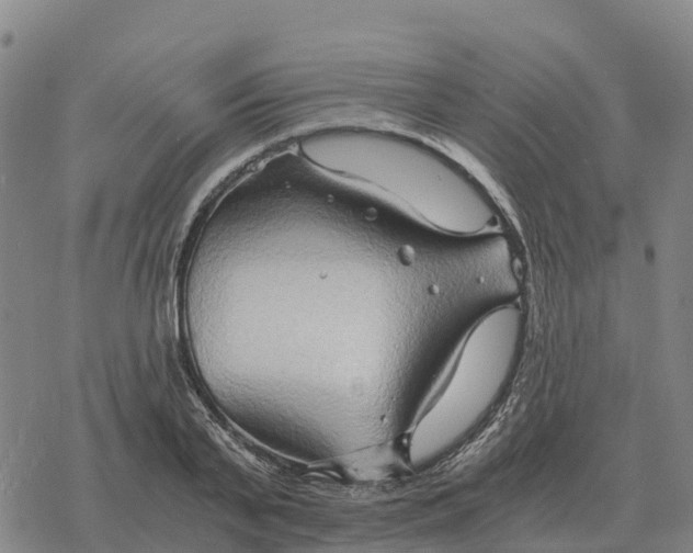 X0000076430791200610271732